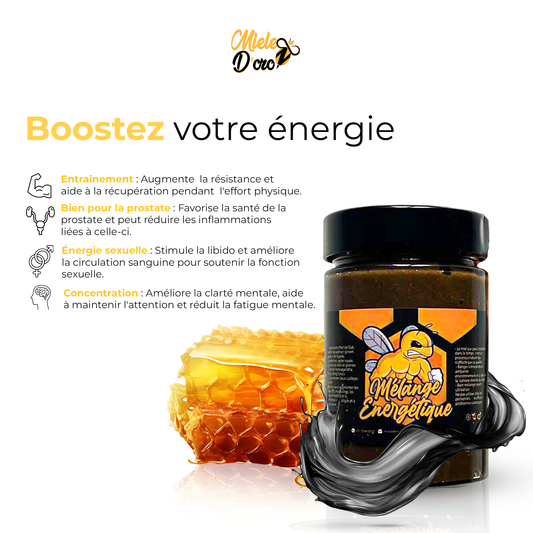 Le mélange énergétique